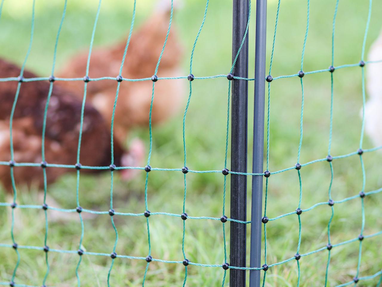 Support Post for Field Netting
