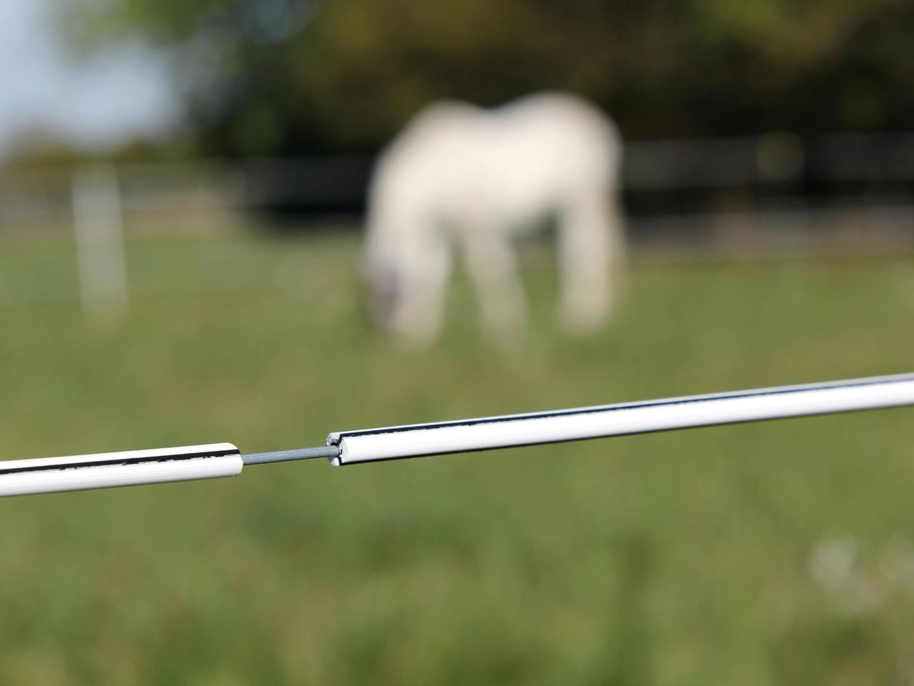 Premium Horse Wire