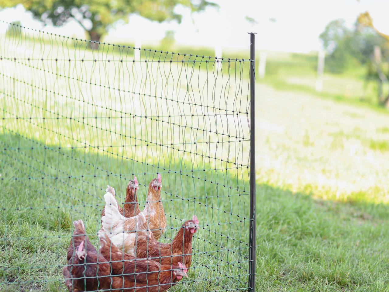 Support Post for Field Netting