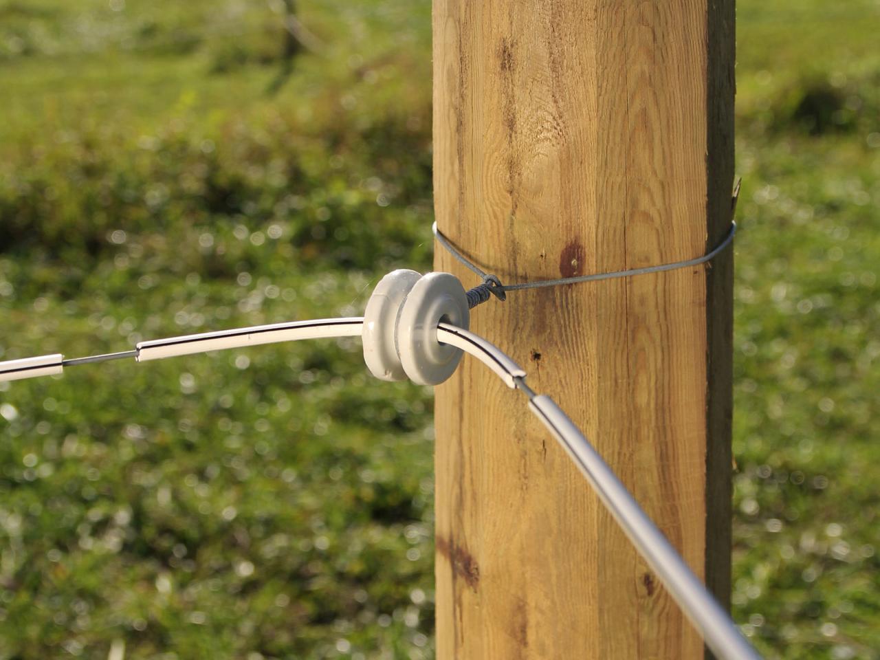Premium Horse Wire