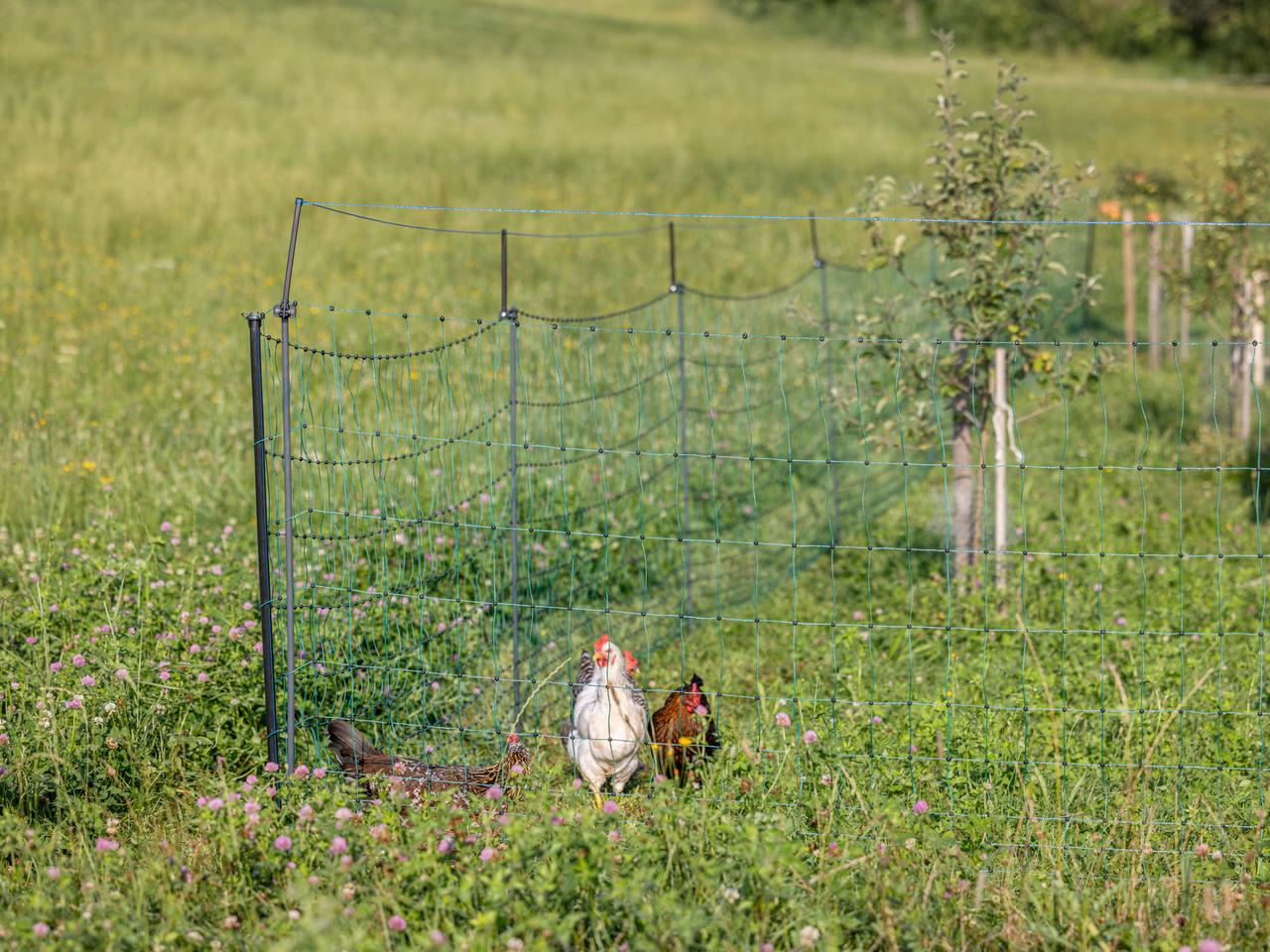 Supplementary Set for Pasture Nets WolfStop