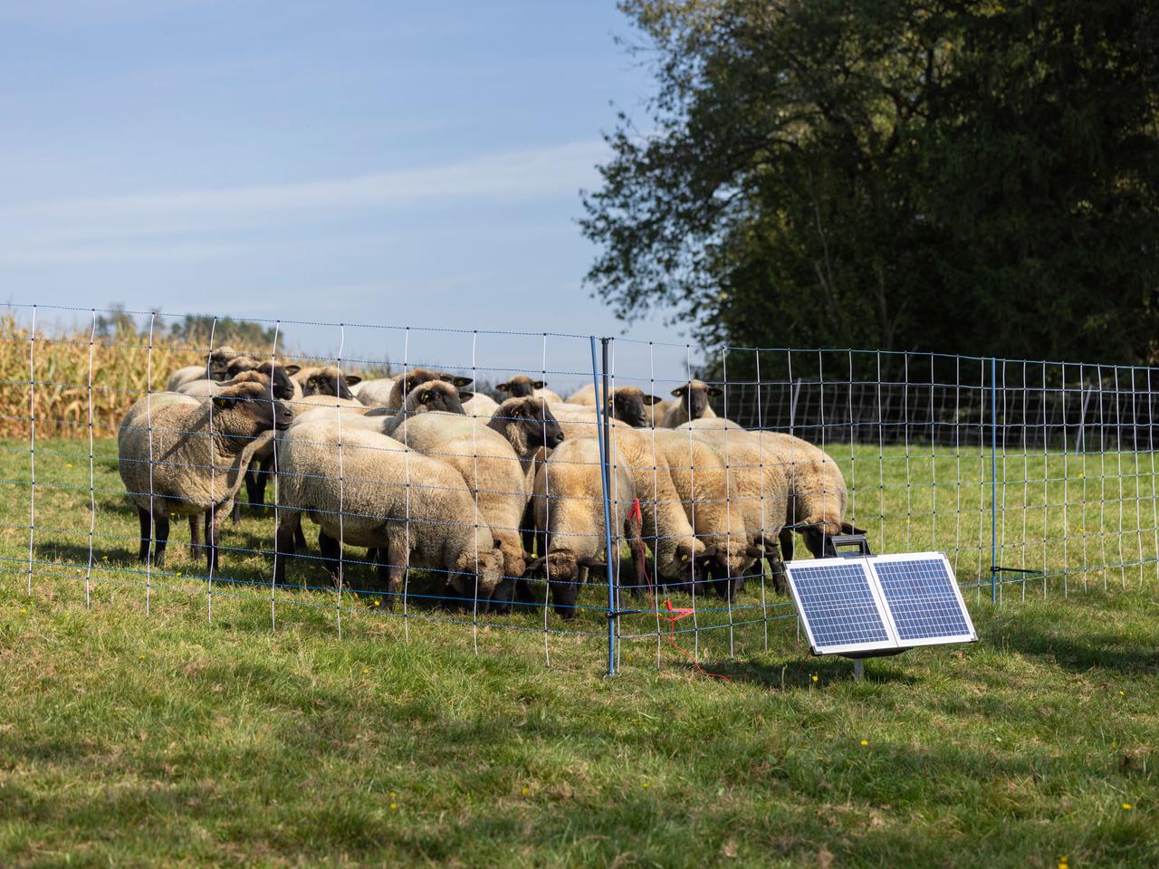 Support Post for Field Netting