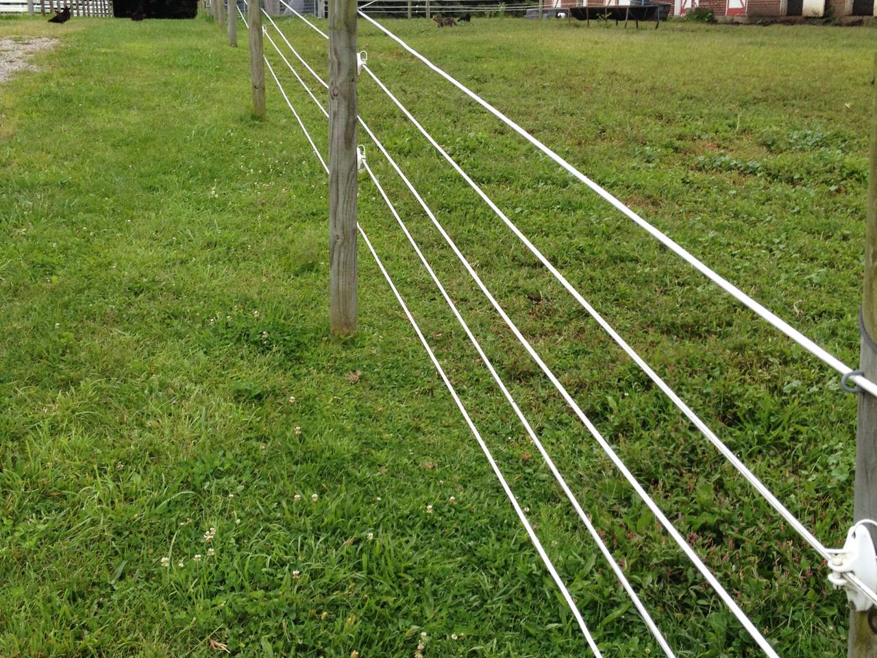 Premium Horse Wire