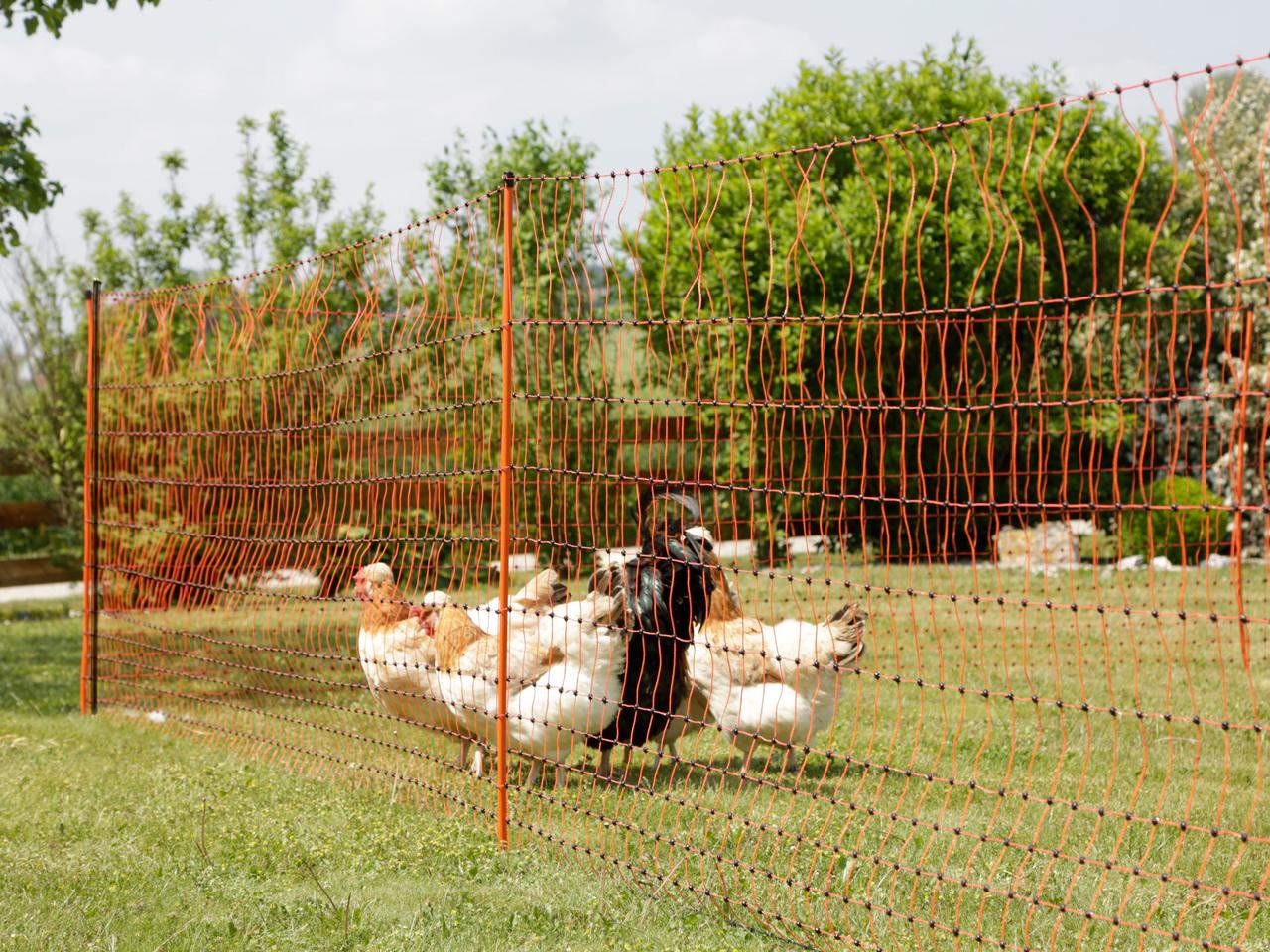 Support Post for Field Netting