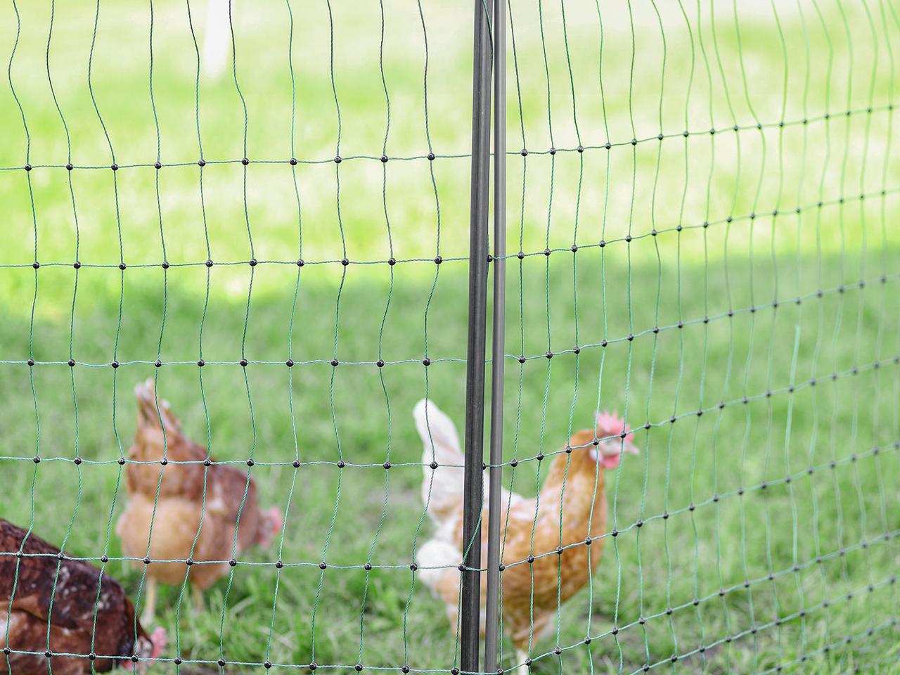 Support Post for Field Netting