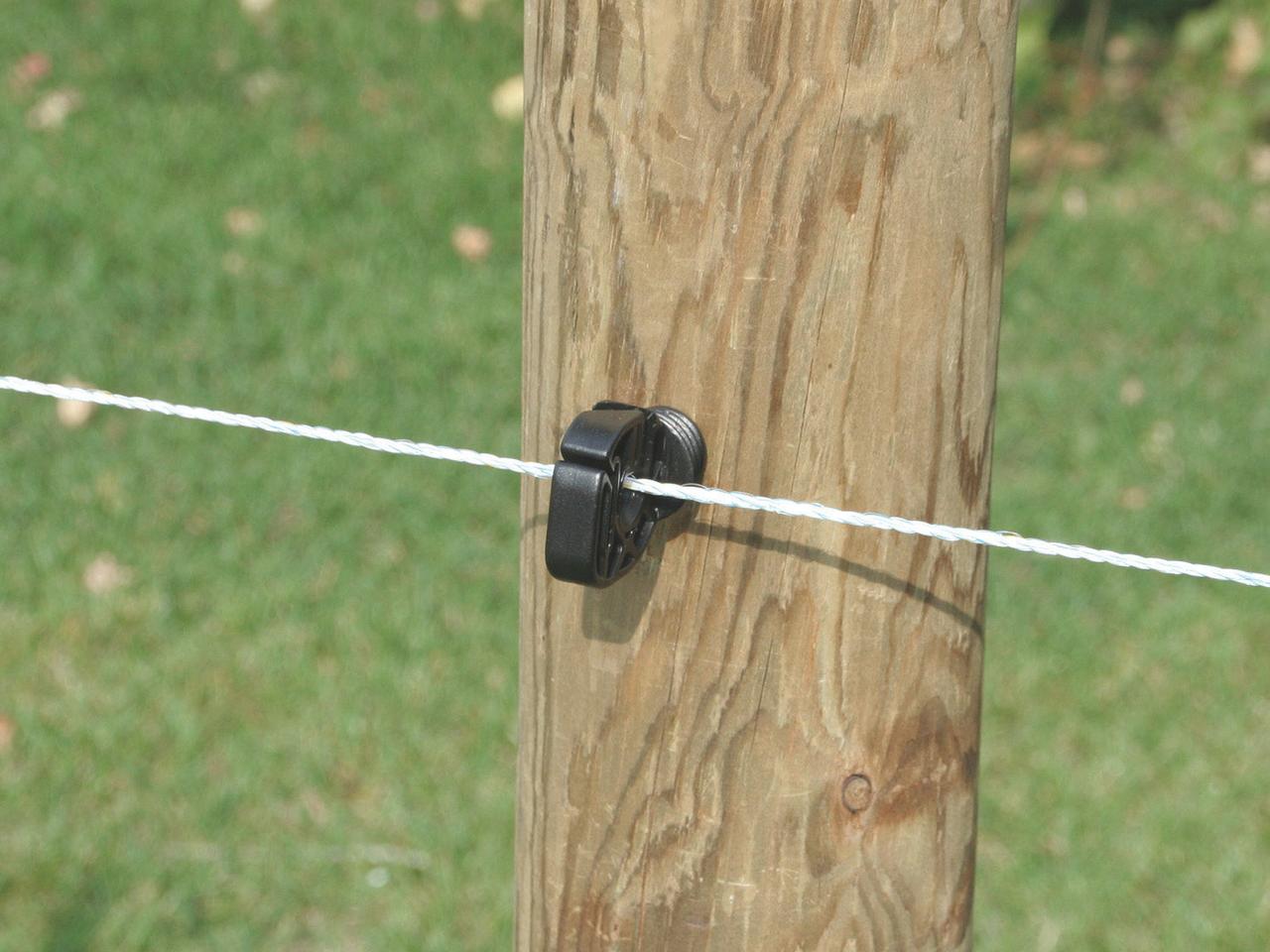 Poly Wire Essentials