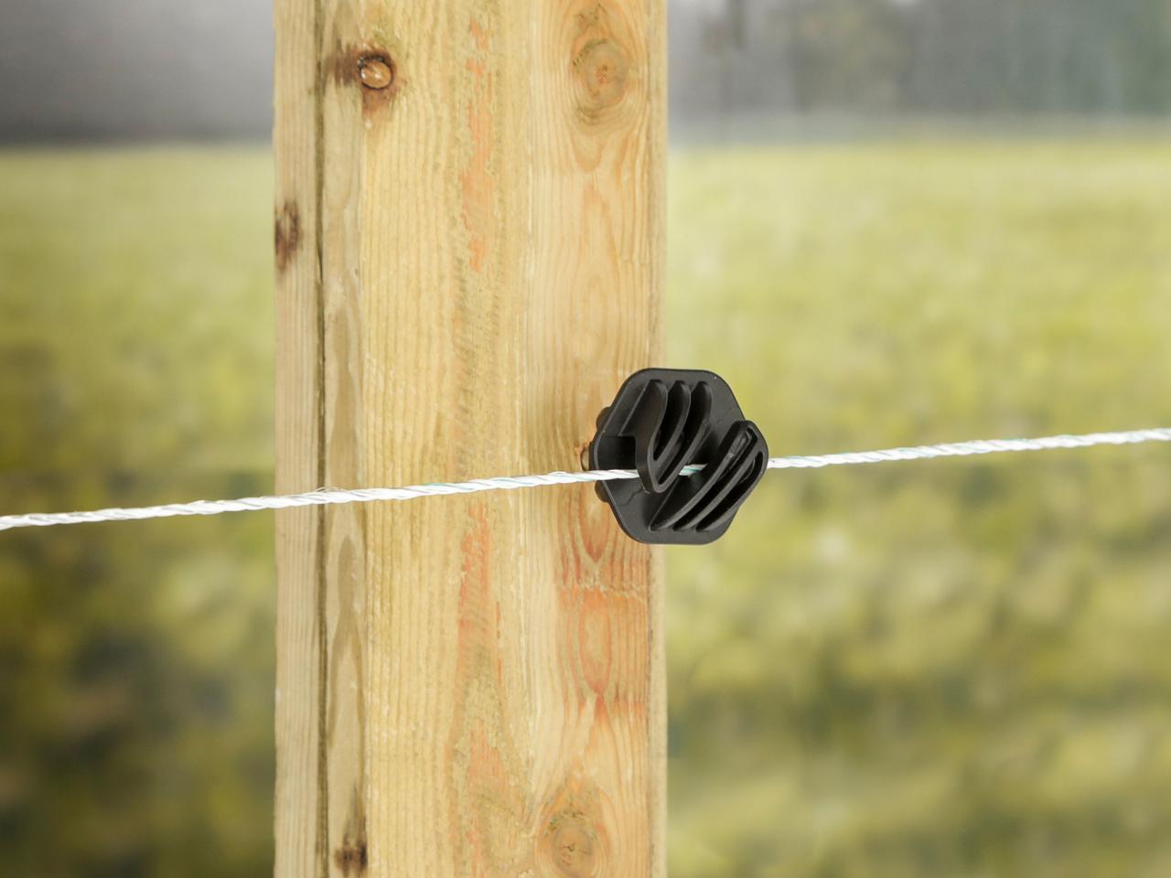 Poly Wire