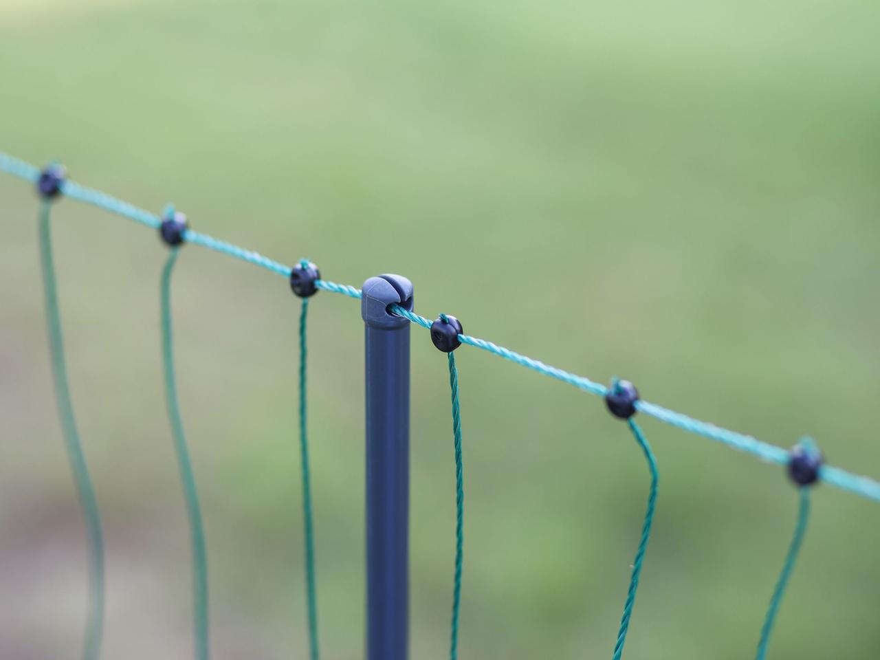 Premium Poultry Net