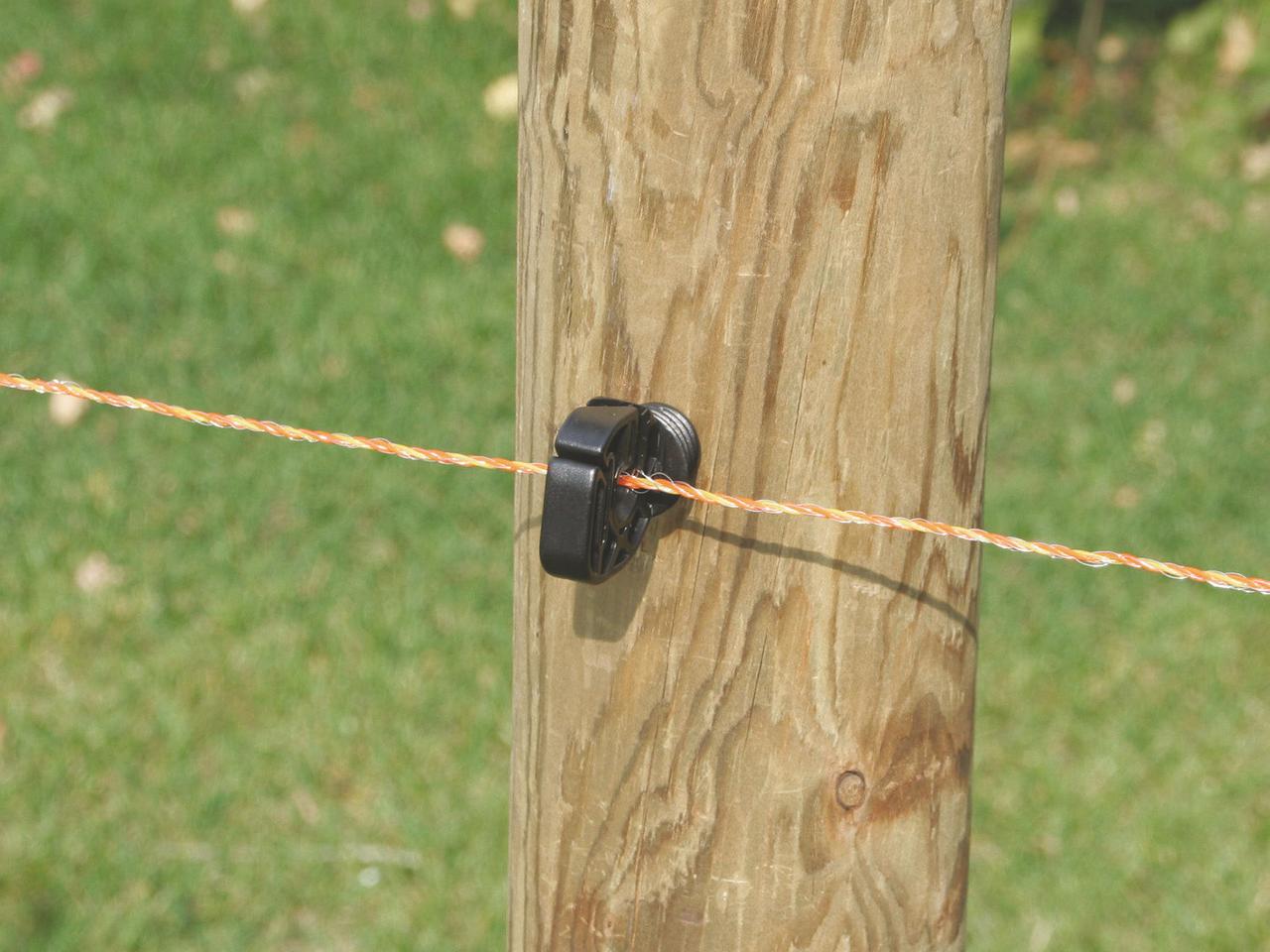 Poly Wire
