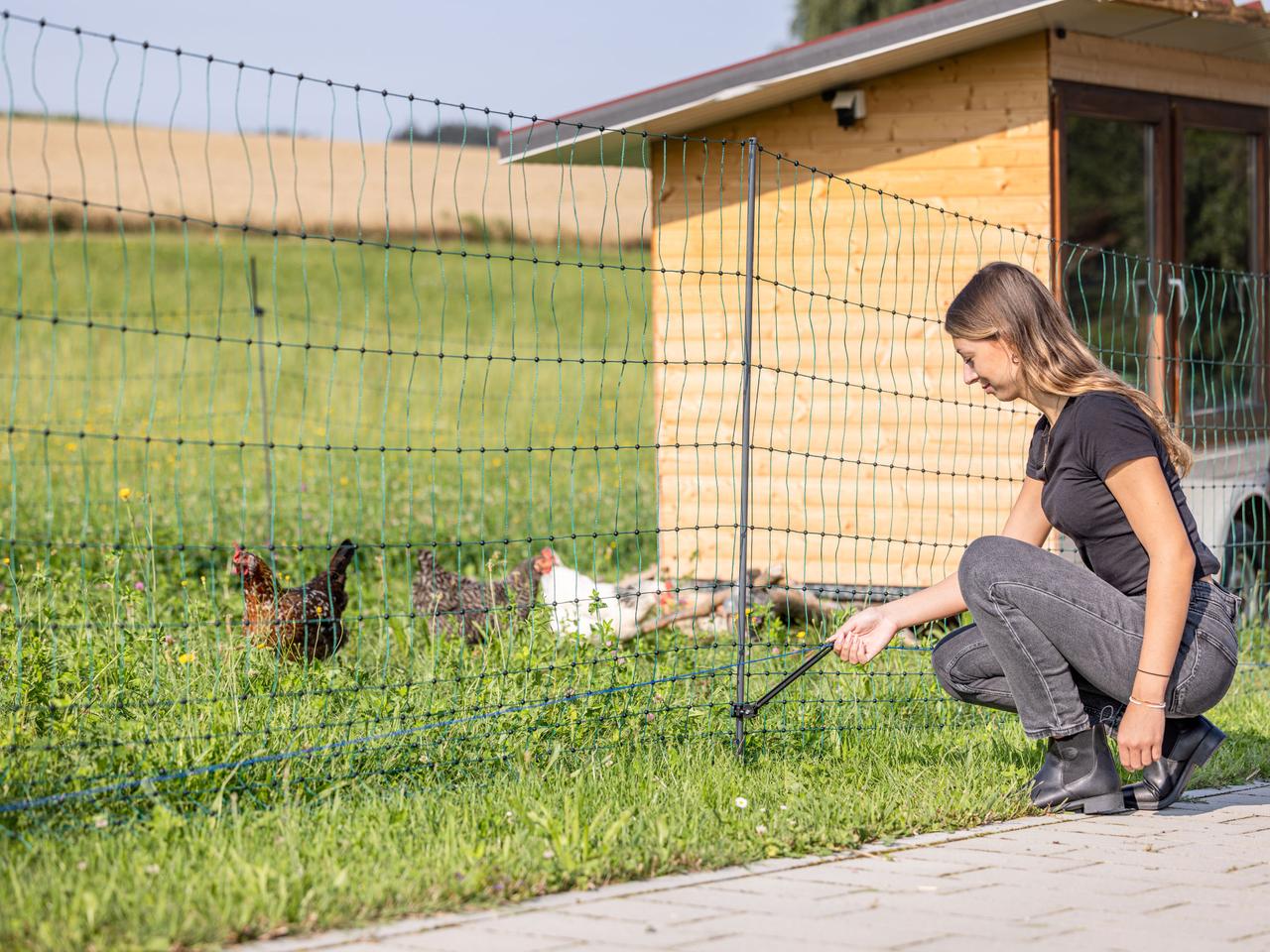Supplementary Set for Pasture Nets WolfStop