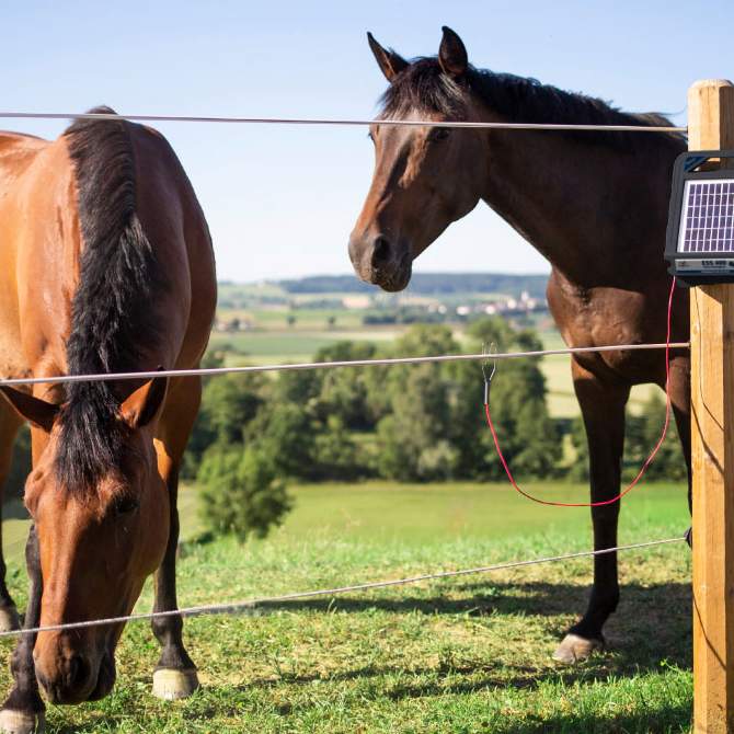 Rutland Electric Fencing
