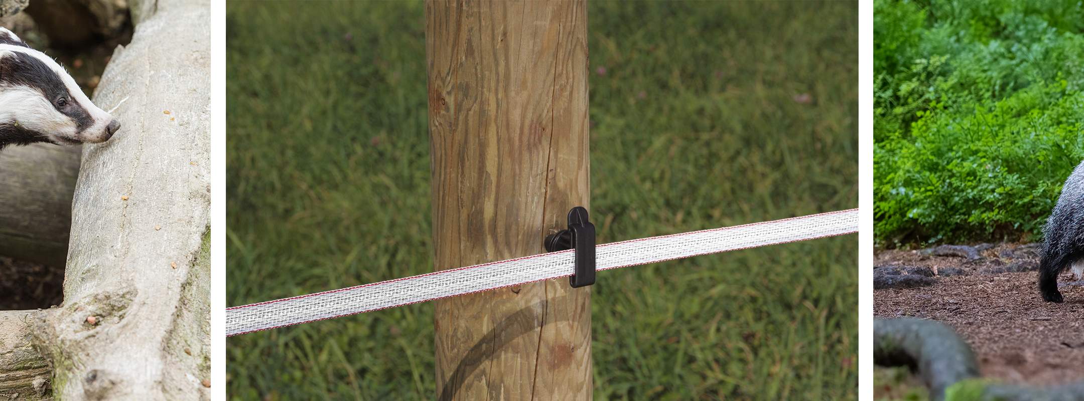 Why use a badger defence fence